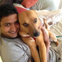 Zdjęcia użytkownika Ishaan Joshi