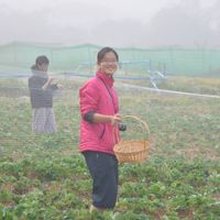 Apichaya Opasatian's Photo