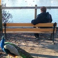 Scott Reiner's Photo