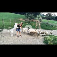 Valentina Allaria的照片