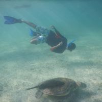 Jonny Martínez的照片