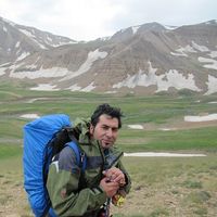 sajjad jalvand的照片