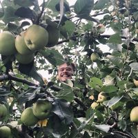 Peter Molnar's Photo