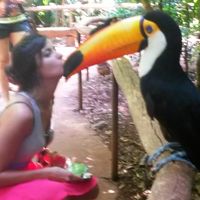 Helena Curado的照片