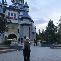 wisteria stone's Photo