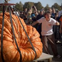 Luca Stöckl的照片