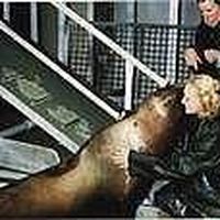 Rebecca Van Beek's Photo