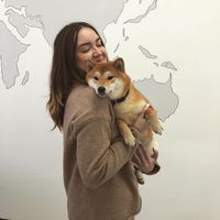 Zdjęcia użytkownika Анастасия  Калинина