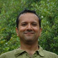 Zdjęcia użytkownika Rohit Badola