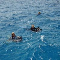 Laurence Bruffaerts's Photo