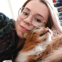 Fotos von Suz Stainthorpe