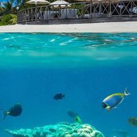 Yacine Sisin's Photo