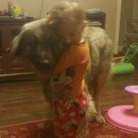 Branislava Cloud's Photo