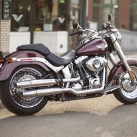 Marcos Oliveira's Photo