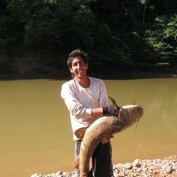 Tamir Menahem的照片