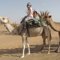 Photos de Yoshi Bogaert