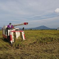 atsuko doki的照片