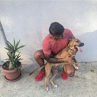 Photos de Franjo Raspudic