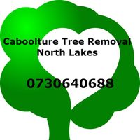 Caboolture Tree Removal North Lakes's Photo