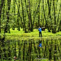 Mohammad Jafarian的照片