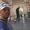 Ilyes Rabah's Photo
