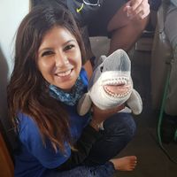 Photos de Karen Ascencio