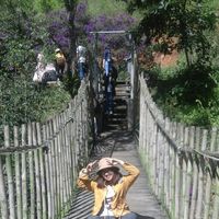 Linh Nguyen的照片