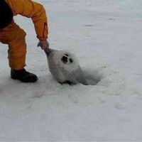 Tomoko Kurihara's Photo