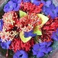 Photos de Shona Rich