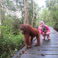 Dini Fithria Romadani的照片