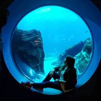 Lau Palacios的照片