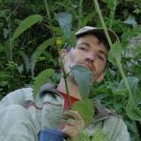 Denis Gokhfeld's Photo