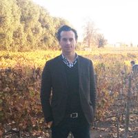 Camilo Alvarez Gardeazabal的照片