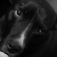 N'importe Nawak's Photo