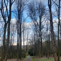 Sofiane Sdg的照片