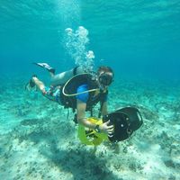 Fotos de Michael Schlink