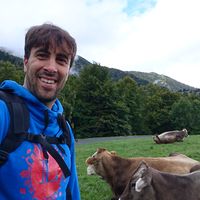 simone callegari's Photo