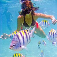 Marina Cortez's Photo