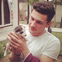 Anıl Palakçı的照片