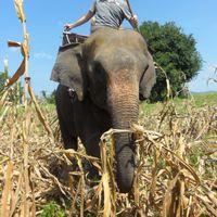 Photos de Marco Tarantum