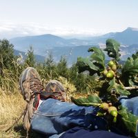 Hadis Ershadi的照片