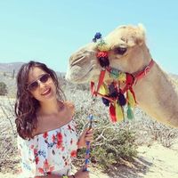 Le foto di Andrea Corona