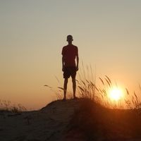 Rodney Hamsters的照片