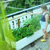 Anne-Marie Dehon的照片