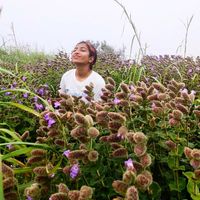 Sristy Choudhury的照片