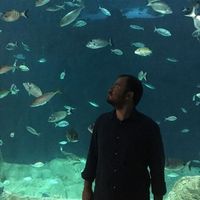 Фотографии пользователя Barış Uğurlu