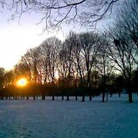 Фотографии пользователя Apple T