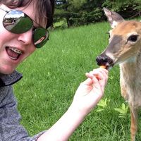 Sean McDonnell的照片