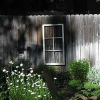 Fotos von Libby Hayden