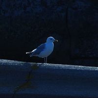 Henriette Storm's Photo